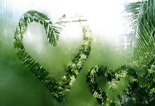 乌迪内斯足球俱乐部，意甲赛场的造星工厂与独特生存之道？